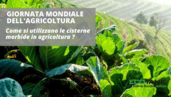 Día Mundial de la Agricultura: tanques flexibles para el almacenamiento de agua.