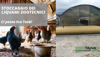 ¿Necesita una solución para el almacenamiento de purines zootécnicos?