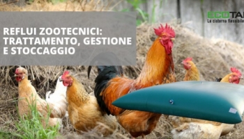 Reflui zootecnici: trattamento, gestione e stoccaggio
