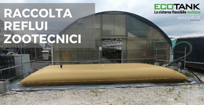  Reflui zootecnici: cosa c'è da sapere e come raccoglierli 