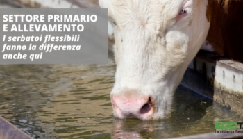  Cisterne flessibili e allevamento: come si combinano? 